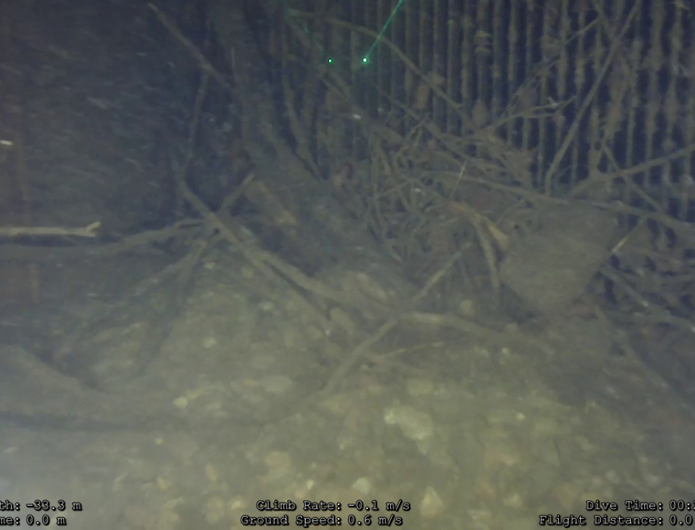 vlcsnap-2024-05-19-12h47m09s529 vlcsnap-2024-05-19-12h47m09s529